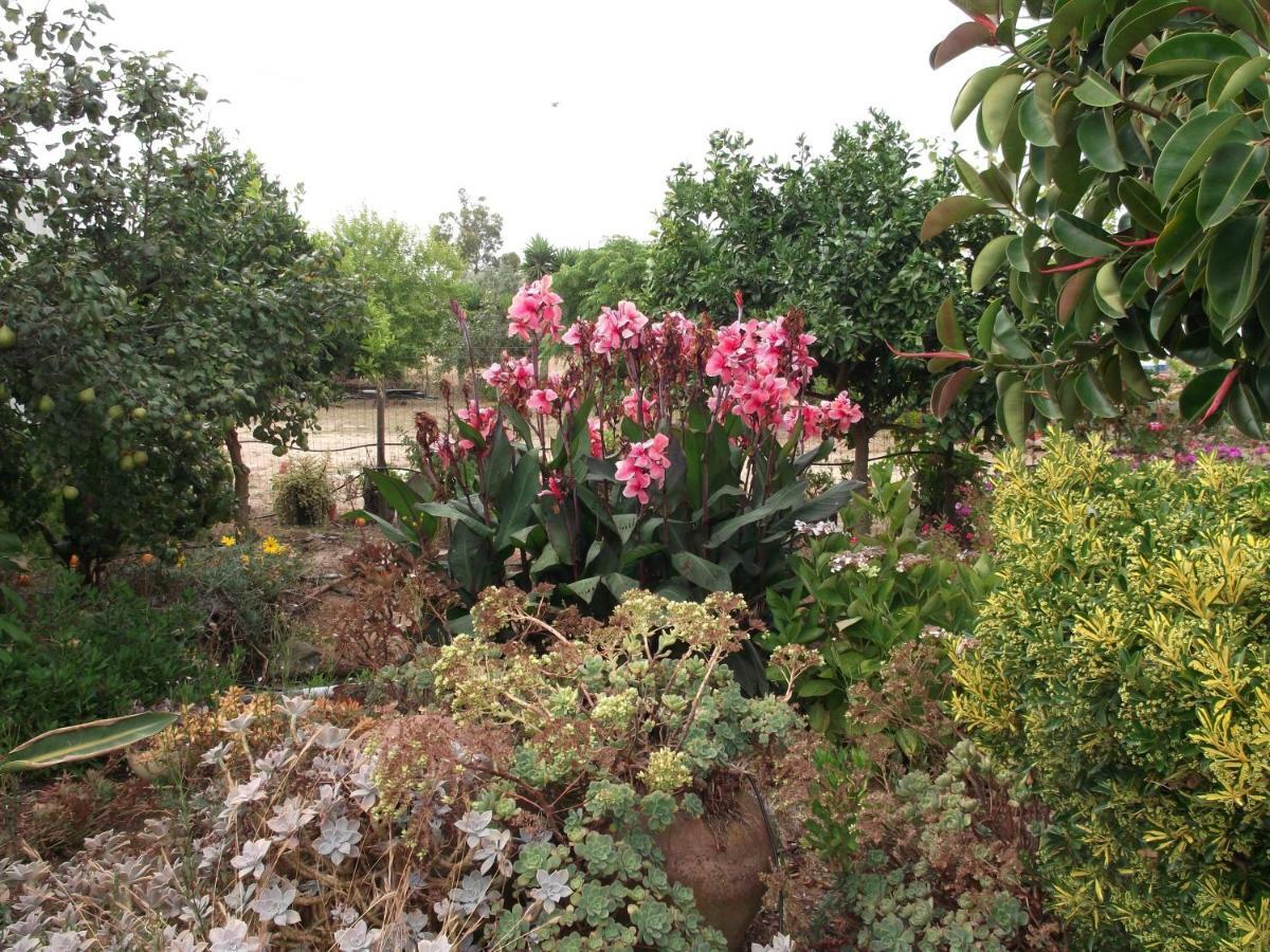 Quinta Do Pinheiro Hotel แกรนโดลา ภายนอก รูปภาพ